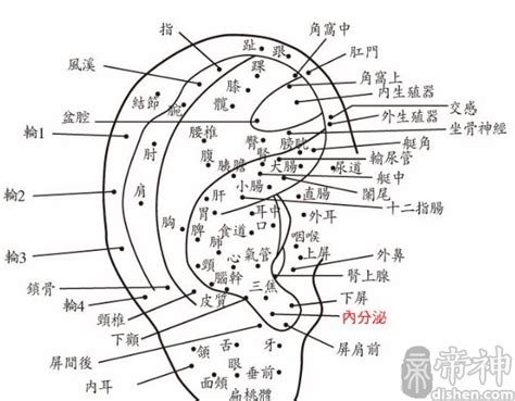 背後有痣代表什麼|背后有痣代表什么？ 不同位置的痣与命运联系